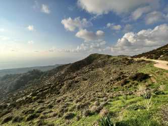 Pissouri